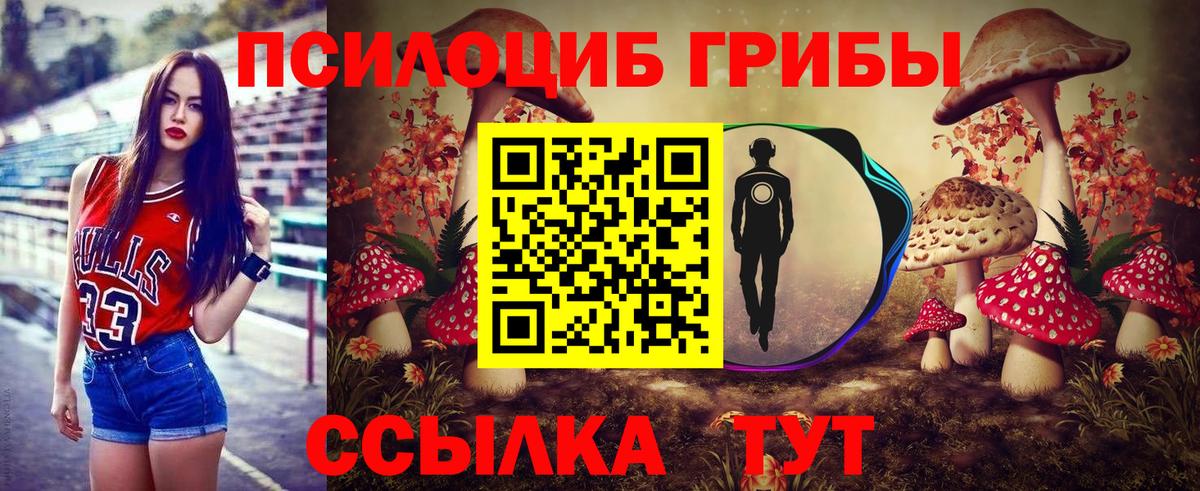 Галлюциногенные грибы Psilocybe  Вход с VPN  Псилоцибиновые грибы ЛСД  где купить наркоту  Анапа 